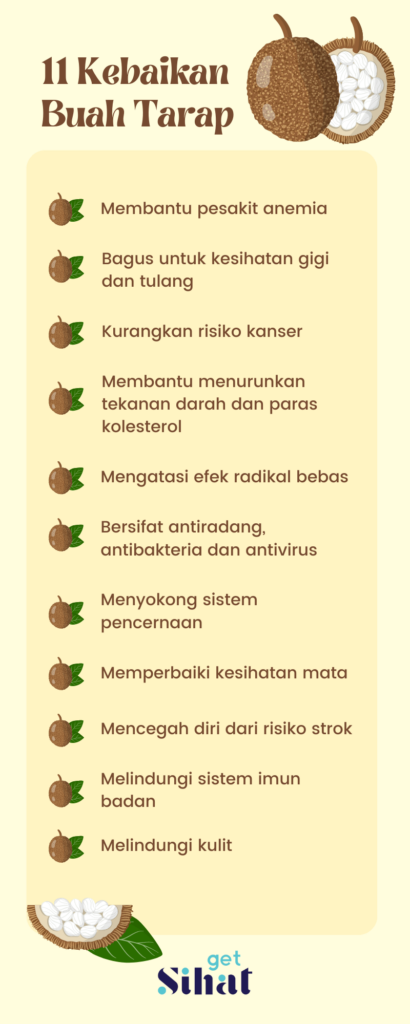 Khasiat Buah Tarap Infographic