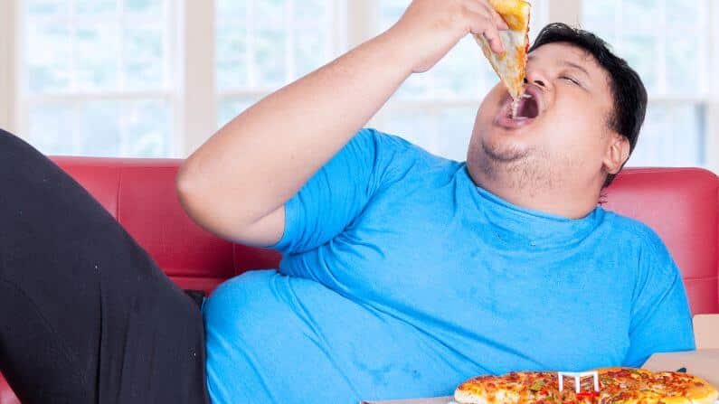 Faktor Obesiti Pemilihan diet