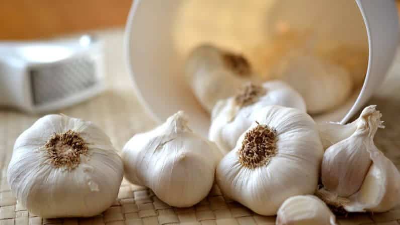Cara Tradisional Hilangkan Sembelit bawang putih