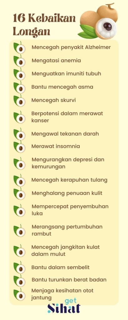 Buah Longan Infographic
